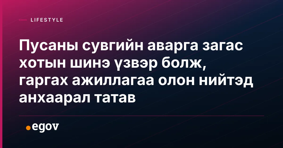 Пусаны сувгийн аварга загас хотын шинэ үзвэр болж, гаргах ажиллагаа олон нийтэд анхаарал татав