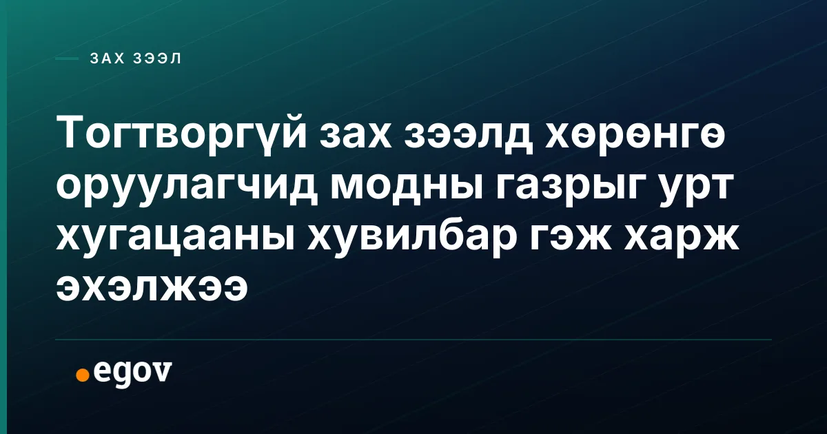 Тогтворгүй зах зээлд хөрөнгө оруулагчид модны газрыг урт хугацааны хувилбар гэж харж эхэлжээ